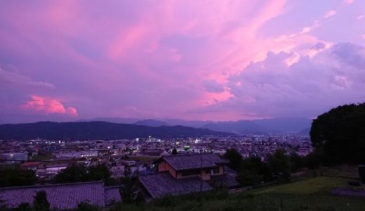 会社を辞める時に考えたフランチャイズ・飲食・土地活用のリスクなど